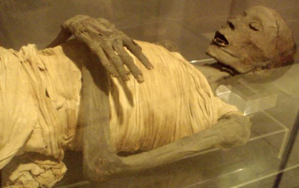 The mummified remains of ‘Usermontu’.