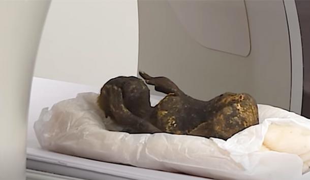 The mummified mermaid being CT scanned in Japan. (The Asahi Shimbun Company / YouTube)
