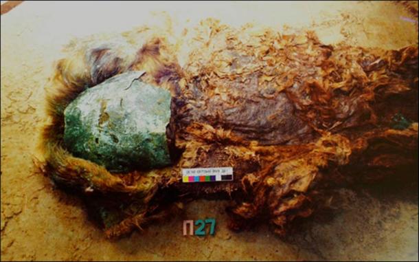 Five mummies were found to be shrouded in copper, while also elaborately covered in reindeer, beaver, wolverine or bear fur.