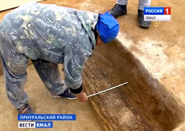 'The find is now in Salekhard, in the Shemanovsky Museum, in special freezer. We plan to return to Salekhard on 15 July and immediately start the opening of the 'cocoon'.