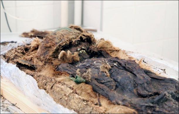 The boy's remains are seen as being accidentally preserved aided by the form of burial in a cocoon of birch bark and copper.