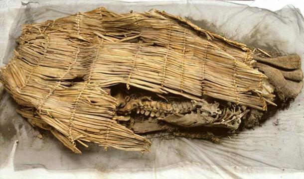The mummy discovered.
