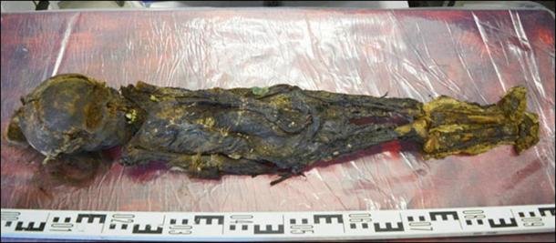 The boy's remains are seen as being accidentally preserved aided by the form of burial in a cocoon of birch bark and copper.