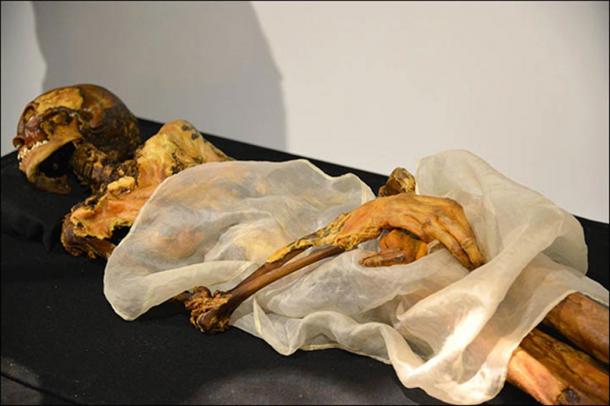 2,500-Year-Old Tattooed Ice Princess Wears Fur to Go on Public Display at Next New Moon