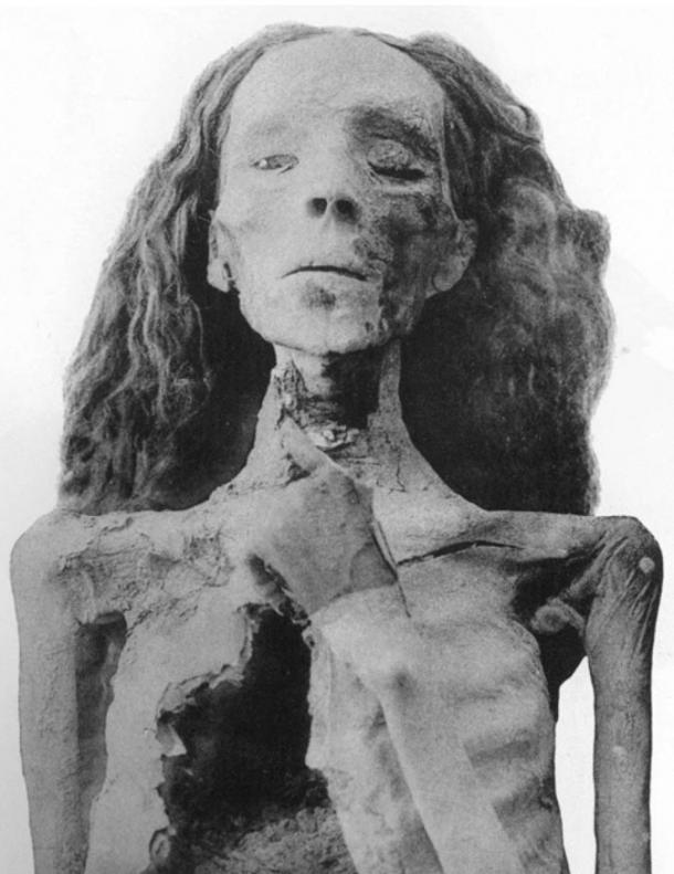 The mummy of Queen Tiye, now in the Egyptian Museum.