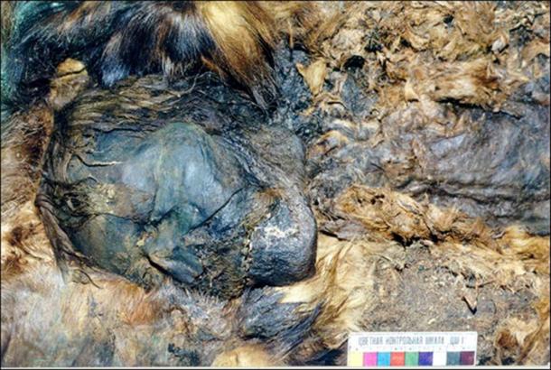 Five mummies were found to be shrouded in copper, while also elaborately covered in reindeer, beaver, wolverine or bear fur.