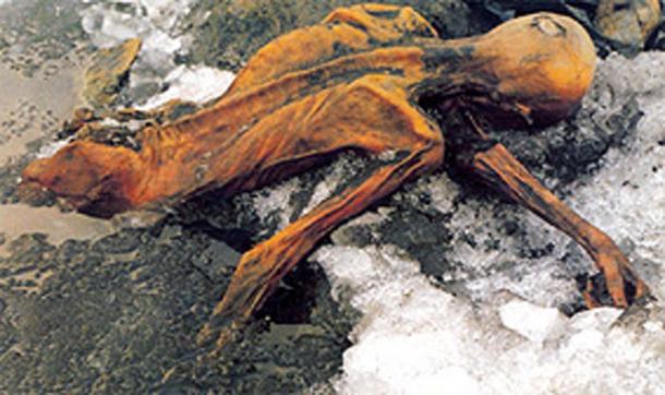 The mummy of Otzi the Iceman, as it was found. Public Domain