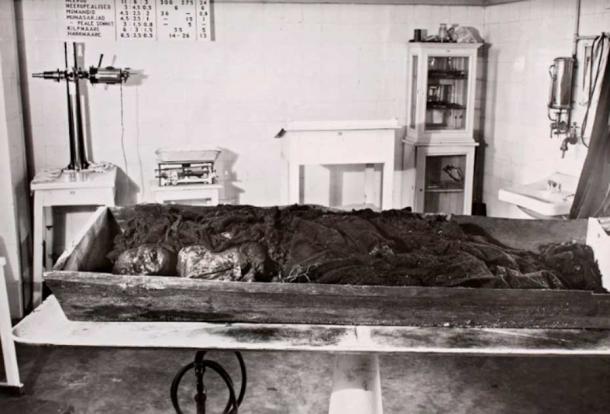 Bog-Body Study Reveals Prehistoric “Overkill” | Ancient Origins