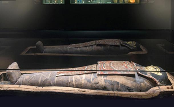 The Egyptian Mummy on display in the Israel Museum. 