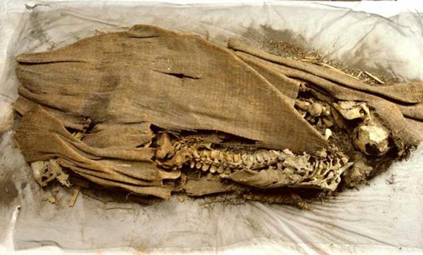 Another photo of the mummy discovered by the Wheelers.