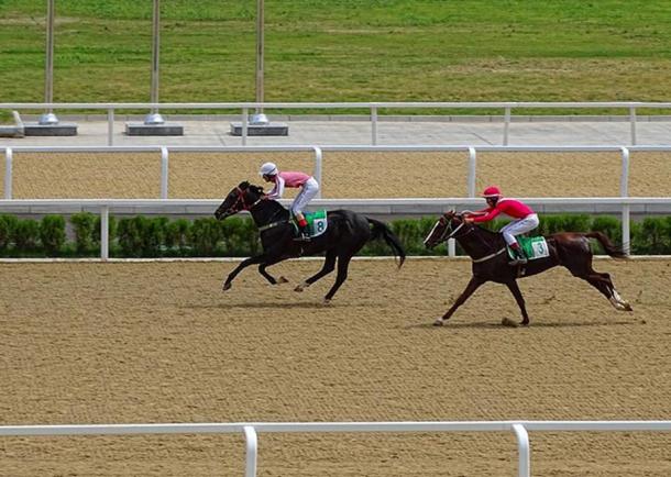 From a race at the national horse-racing stadium in Ashgabat, Turkmenistan. Normally all horses competing here are Akhal-Teke horses.