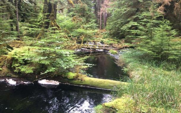 The natural beauty of Haida Gwaii (Rondeau, C / CC BY 2.0)