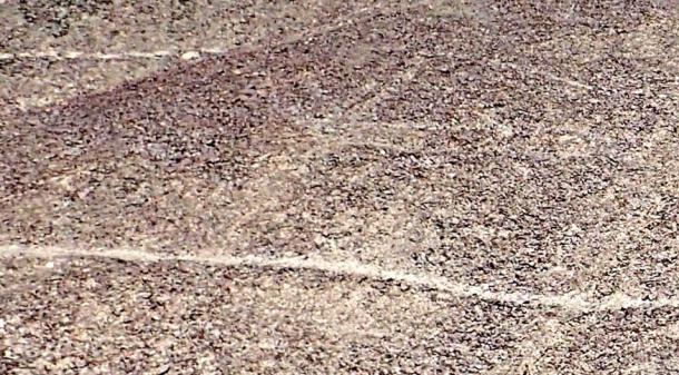 Twenty-Four More Ancient Geoglyphs Discovered in Nazca, Peru