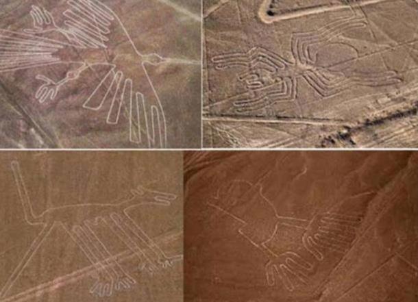 A collection of Nazca geoglyphs including the humming bird (top left) and monkey (bottom left)