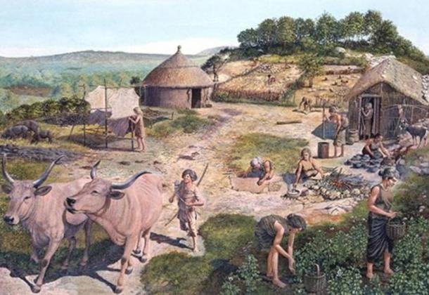 from hunters to settlers how the neolithic revolution neolithic revolution