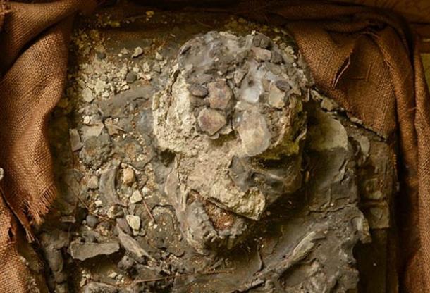 6,500-year-old skeleton - Noah
