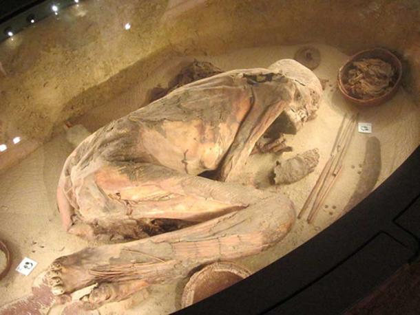 Remains of the oldest Egyptian in the world, Turin’s Egyptian Museum, Italy. (CC BY-SA 3.0)