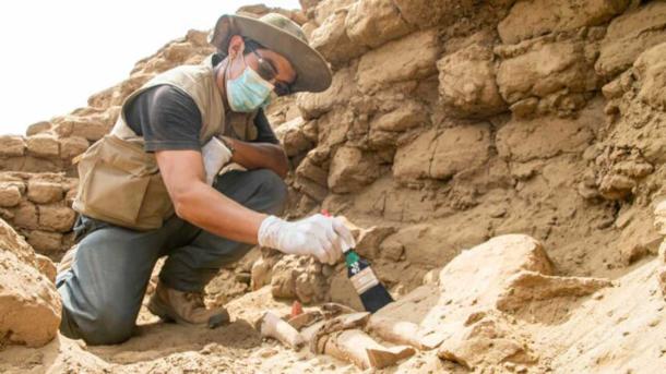 The outlines of the potential new ceremonial structure on the periphery of the Chan Chan complex rising up to the right of the well-imagined ancient wooden Chan Chan sculpture lying faceup on the ground. (Decentralized Directorate of Culture of La Libertad / Peruvian government)