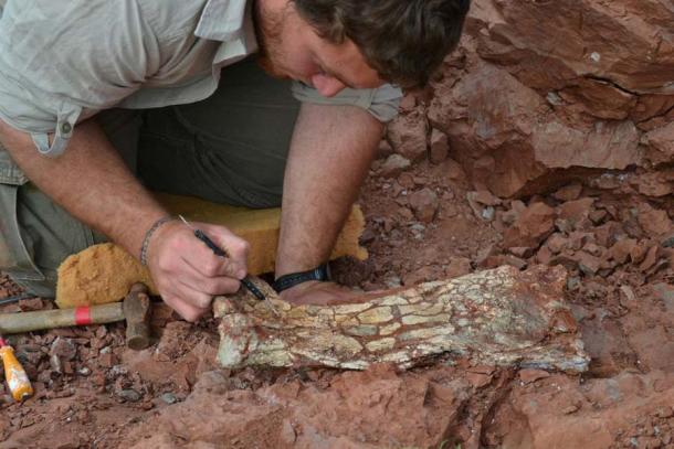 Un paleontólogo excavando huesos y fósiles pertenecientes a una especie de pterosaurio descubierta recientemente, Thanatosdrakon amaru, en Aguada del Padrillo, Mendoza, Argentina (Leonardo Ortiz David/Universidad de Cuyo)