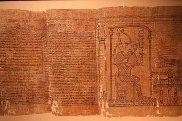 More images and text on the Waziri papyrus. (Supreme Council of Antiquities)