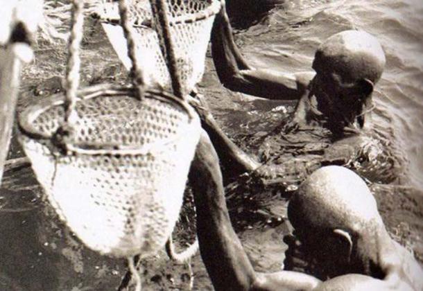 Ancient pearl oyster shells mixed with pottery were found at the site indicating that the pearl industry of Bahrain was a major source of income already 1,200 years ago. This image is from the early 20th century and shows two Bahraini pearl divers up from a dive off Al Sayah Island, Bahrain. (The Bahrain Authority for Culture and Antiquities - Kingdom of Bahrain)