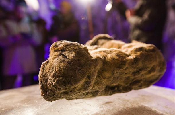 The permafrost preserved them in wondrous lifelike detail for at least 10,000 years.