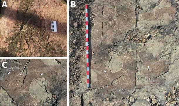 Petroglyphs found at outcrop 3. (A) Circle with internal radiating lines; (B) Aerial photography in which damage to the graphic horizontal panel is visible, affecting an area of high concentration of petroglyphs; (C) Petroglyphs superficially resembling star icons. Most are lines inside a faded circular outline. Scale bars = 5 cm and 2 m. (Troiano, et al., Scientific Reports 2024)