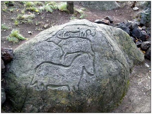 The petroglyphs were first reported by the local media in 1873.