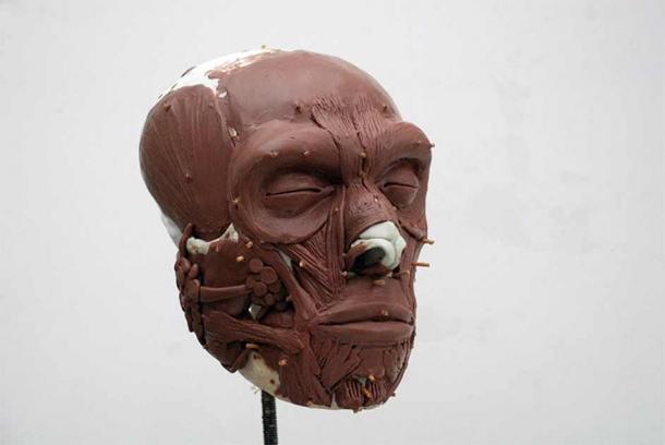 One of the phases in the construction of the face 