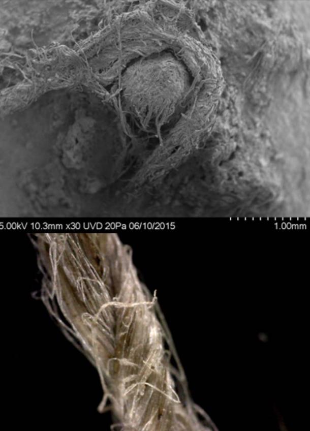 Top: SEM photo of Neanderthal cord from Abri du Maras. (Credit: M-H. Moncel) Bottom: Close-up of modern flax cordage showing twisted fibre construction.