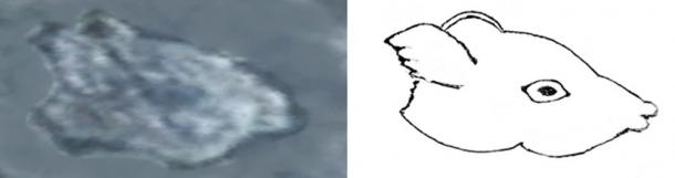 Original photographs with outline defining sketch of two animal sculptures discovered on the Island of Newfoundland. 