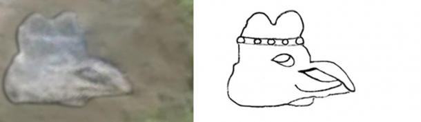 Original photographs with outline defining sketch of two animal sculptures discovered on the Island of Newfoundland. 