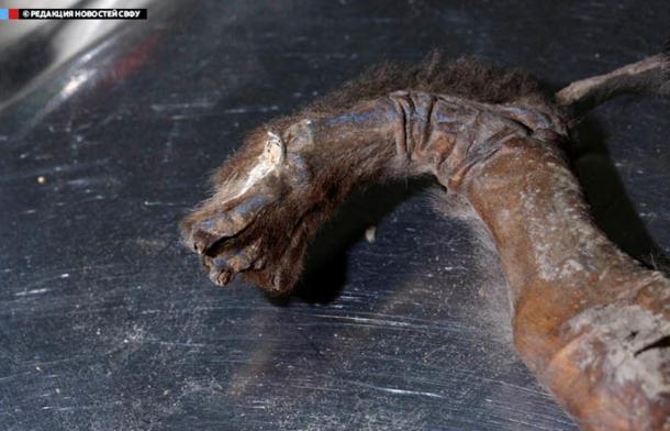 'What is of real interest is the fact the animal has a completely preserved carcass, which is unique by itself, with nothing like it in the world.' 
