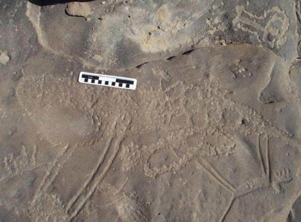 This is perhaps a plan of a settlement