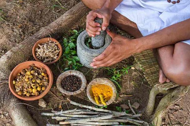 Medicinal plants are still used today in alternative medical therapies such as Ayurvedic medicine. (nilanewsom/Adobe Stock)