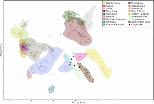 PCA plot of the unknown ancient individuals (black) and known modern-day populations (color) (Author Provided)