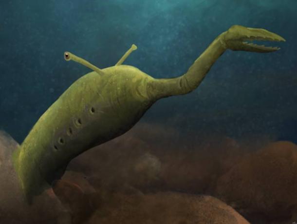 Another possible look for the Tully Monster