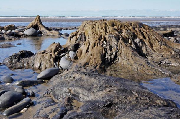 The prehistoric fossilized trees off Cardigan Bay are sometimes revealed by low tides. Is this the legendary land of Cantre’r Gwaelod?
