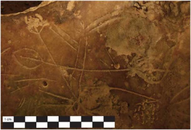A quadruped with paddle shaped icons engraved across the torso. (S. Murray)