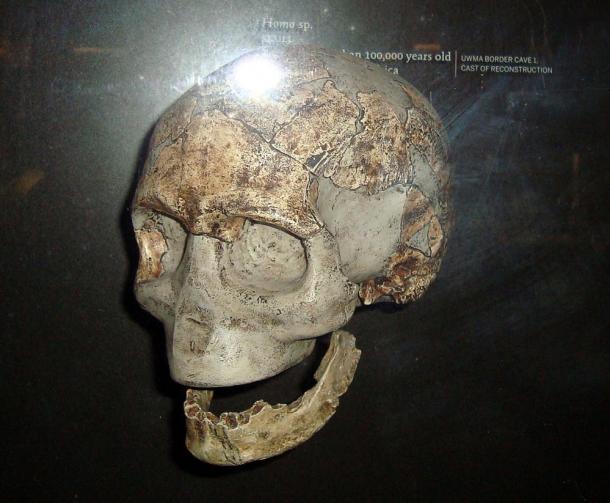 A reconstructed Homo sapiens skull from about 100,000 years, found in a cave in South Africa; at the site in Libya in North Africa, researchers found jawbones about 80,000 years old.