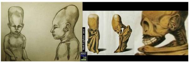 Mark Laplume’s reconstruction of the Rivero and Tschudi’s foetus