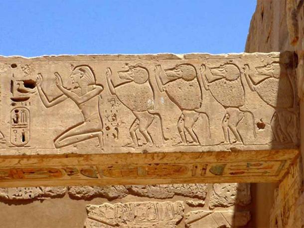 This relief from the mortuary temple of Ramesses III shows the king worshipping alongside sacred baboons. Medinet Habu, Theban Necropolis. (CC by SA 3.0 / Rémih)