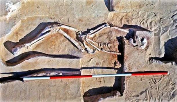 Los restos de Mungo Man, de 40.000 años de antigüedad, fueron descubiertos en 1974 en el sector sur de la erosionada costa del lago Mungo por el profesor Jim Bowler. (Jim Bowler/Universidad de Melbourne)