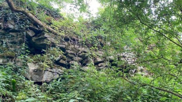 Los restos de la fortaleza irlandesa de la Edad del Bronce casi boscosa descubierta recientemente por el arqueólogo de campo Michael Gibbons en el condado de Galway, Irlanda. (Noticias RTE)