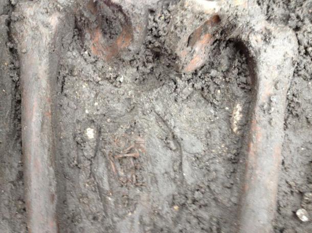 The remains of a fetus are found between the thighs of a female skeleton.