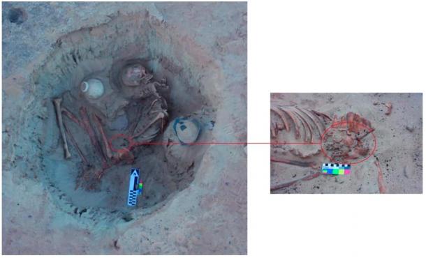 The remains of the pregnant woman and a close of the fetus within her pelvis.