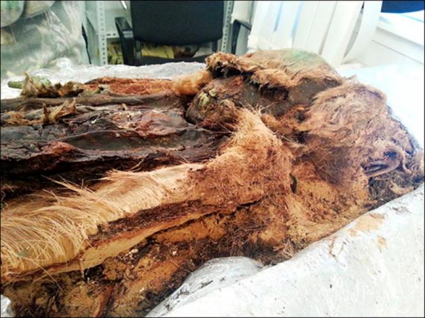 'He was buried at a cold time of the year and this may help the natural preservation of his body, along with the copper plates and cold climate.