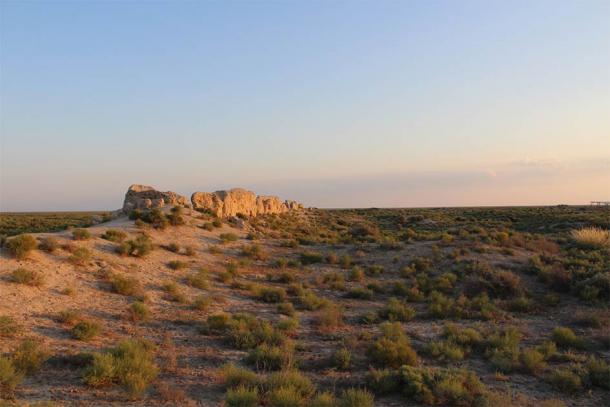 The cat's remains were found during an excavation in the settlement of Dhzankent in Kazakhstan. (Ashleigh Haruda / MLU)
