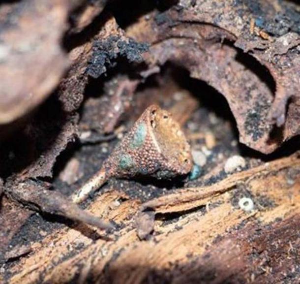 Next to the remains of the woman, the researchers found unique gold ornaments. (Igor Pieńkos / Science in Poland )