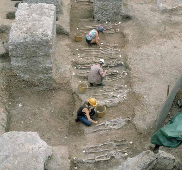 Los investigadores extrajeron ADN de los restos de personas enterradas en los pozos de peste de East Smithfield, que se utilizaron para entierros masivos en 1348 y 1349. (Cortesía del Museo de Arqueología de Londres)